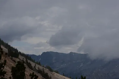 DSC_3086 (Large).JPG